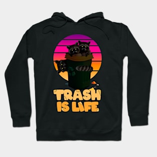 Raccoons Trash is Life Hoodie